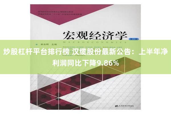 炒股杠杆平台排行榜 汉缆股份最新公告：上半年净利润同比下降9.86%