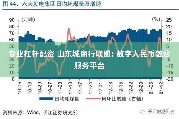 专业杠杆配资 山东城商行联盟: 数字人民币融合服务平台