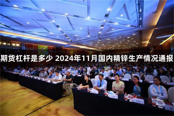 期货杠杆是多少 2024年11月国内精锌生产情况通报