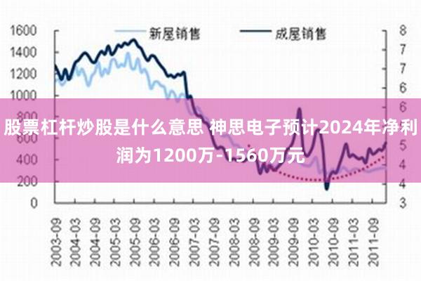 股票杠杆炒股是什么意思 神思电子预计2024年净利润为1200万-1560万元